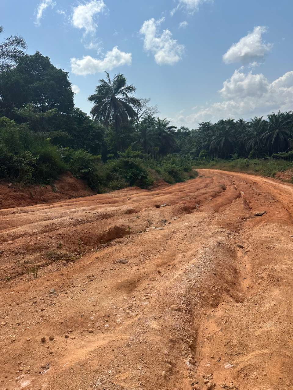 Baby Zebra Organising Committee arranges procurement and distribution of drawing supplies.                                          10 December 2025
