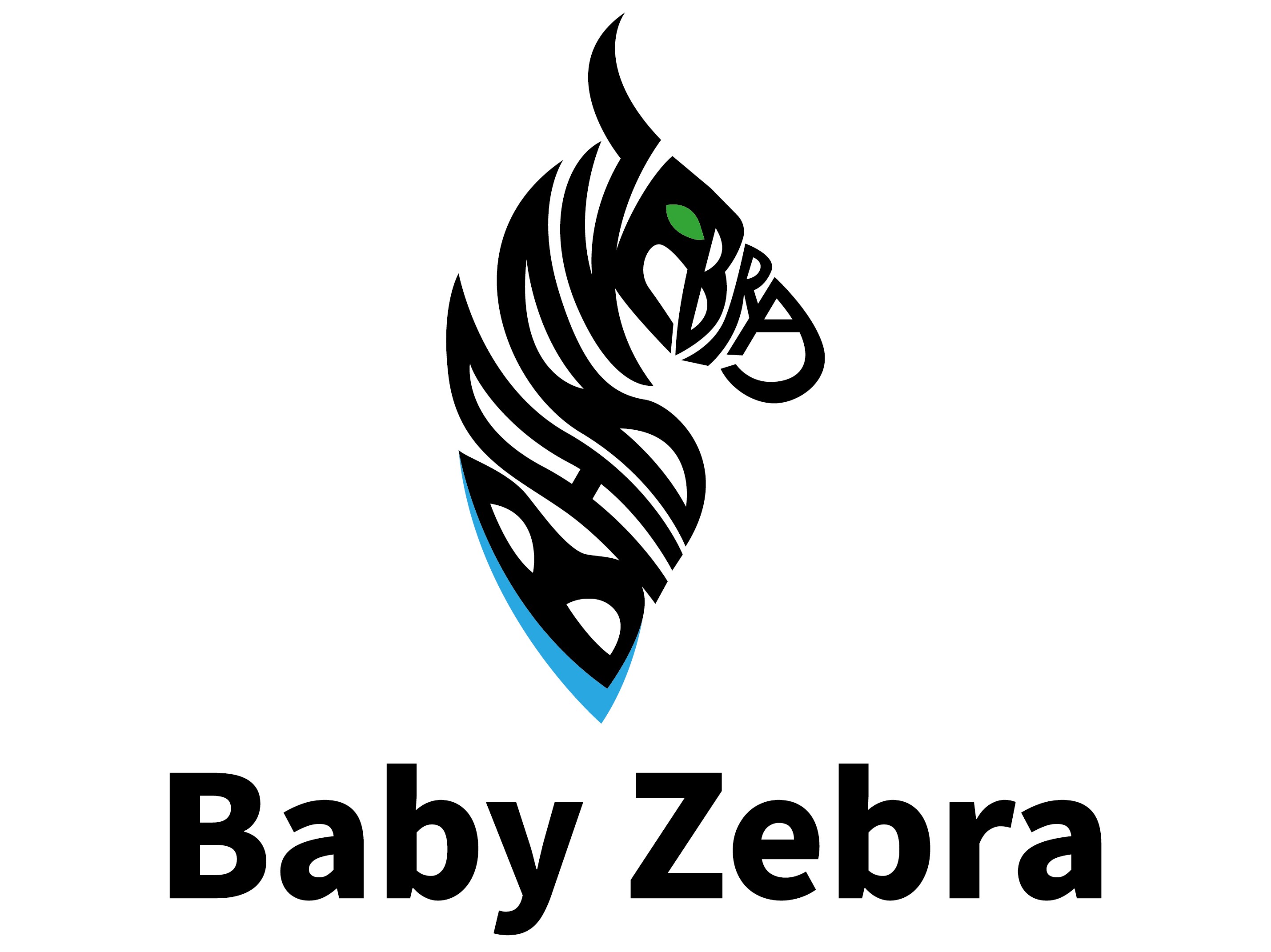 Baby Zebra .jpg
