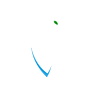 Baby Zebra